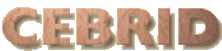 cebrid